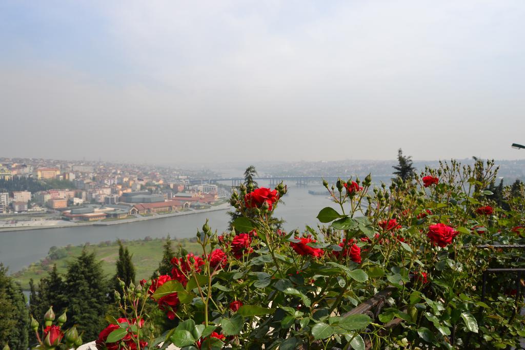 فندق اسطنبولفي  فندق تورك هاوس المظهر الخارجي الصورة